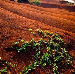 《魔兽世界》叙事总监已于去年秋天悄悄离开暴雪